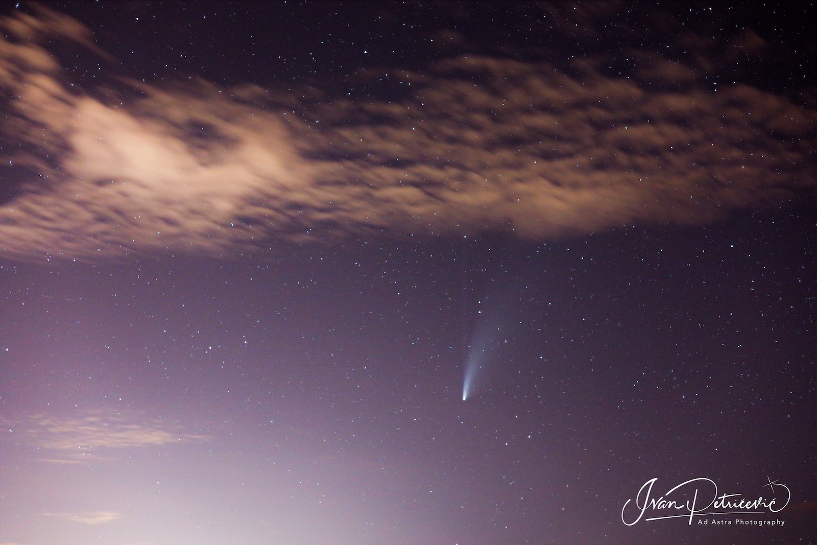 This is my photograph of comet NEOWISE.