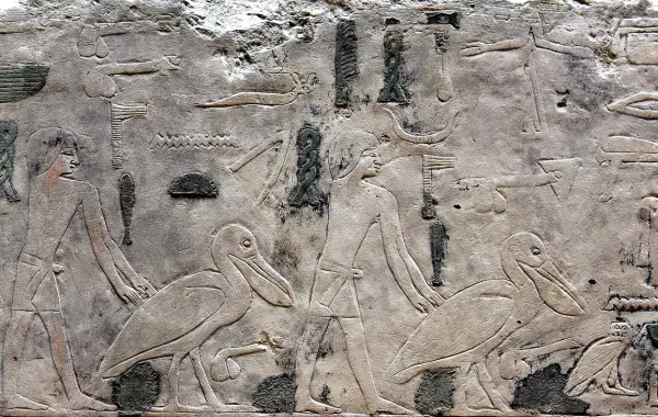 Reljef s pelikanima iz sunčeva hrama Niuserrea u Abu Ghurabu, danas u Neues Museumu u Berlinu