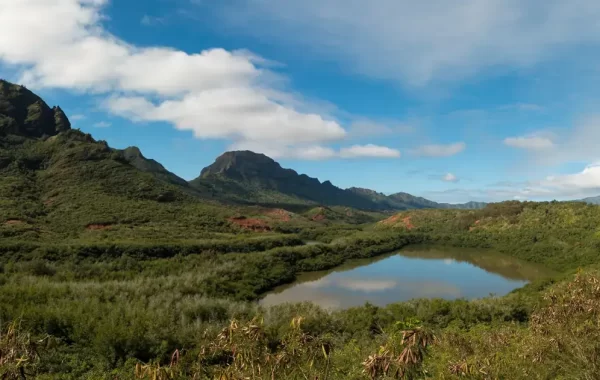 Panoramski pogled na ribnjak Alakoko i rijeku Hulēʻia na otoku Kauaʻi
