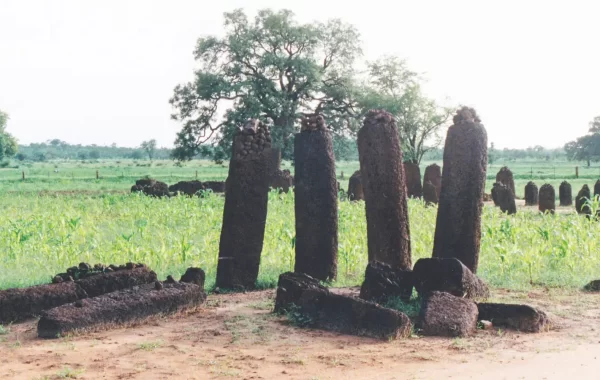 Kameni krugovi Senegambije