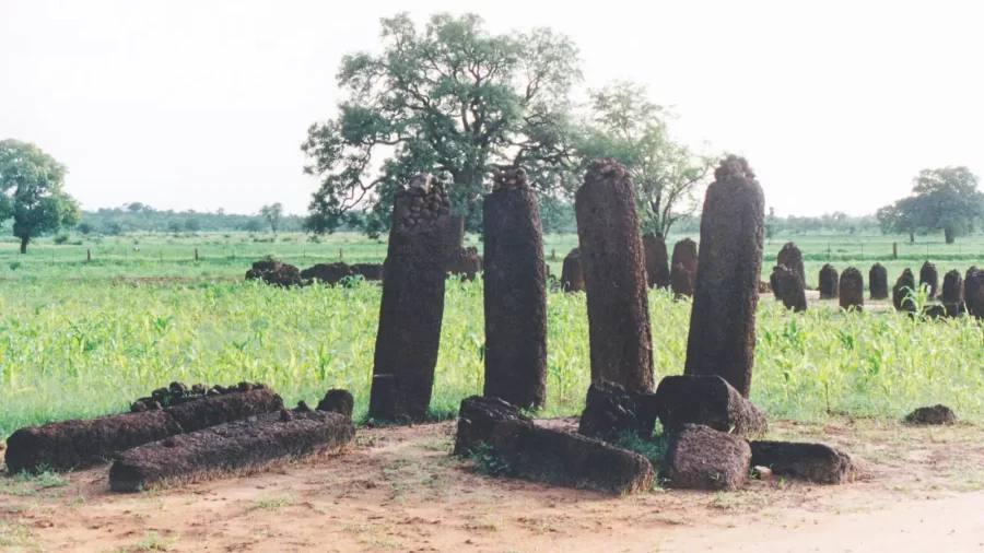 Kameni krugovi Senegambije