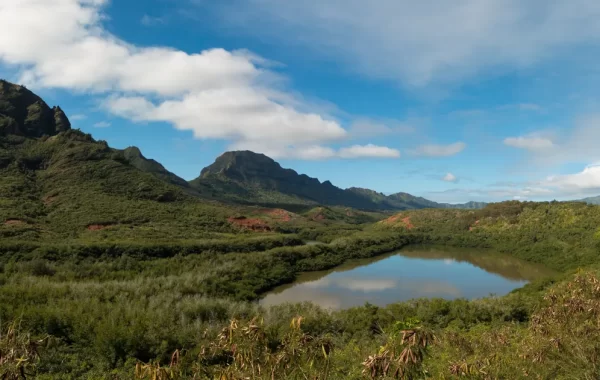 Panoramski pogled na ribnjak Alakoko i rijeku Hulēʻia na otoku Kauaʻi
